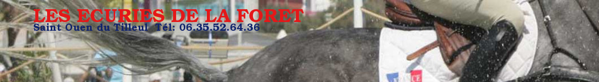 LES ECURIES DE LA FORET